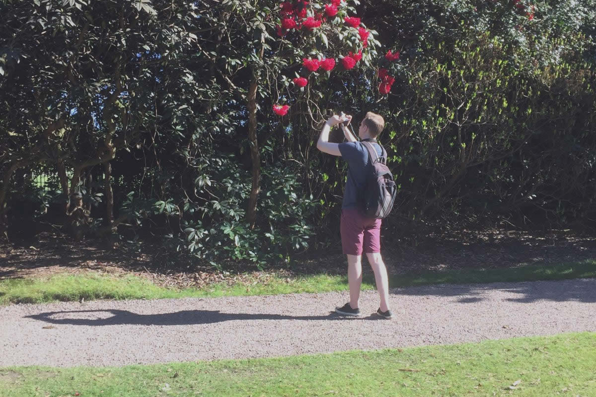 Trying to get the perfect up-close shot